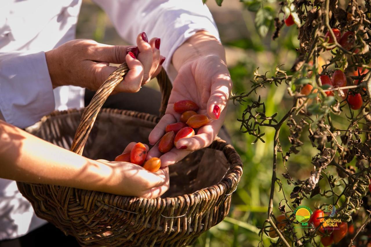 Ai Carpini Séjour à la ferme Marcon