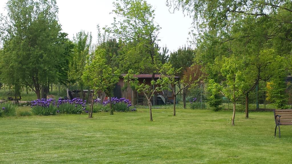 Vakantieboerderij Ai Carpini