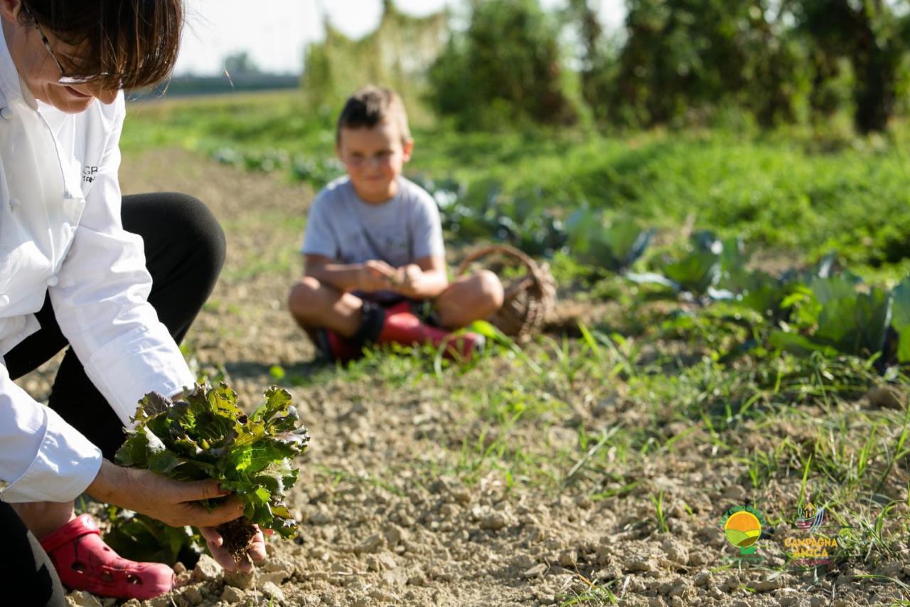 Agroturismo Ai Carpini